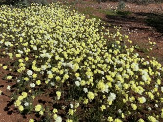 D9721B9D-2929-4AFC-A08C-1383C5E519AB.jpeg D9721B9D-2929-4AFC-A08C-1383C5E519AB.jpeg