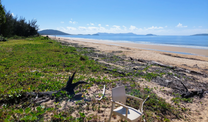 1627881981251.png 1627881981251.png