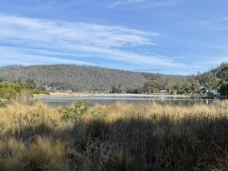 4383630F-E2EB-4E3A-B065-6B22E35F38AB.jpeg 4383630F-E2EB-4E3A-B065-6B22E35F38AB.jpeg