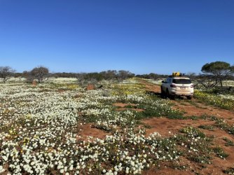 5E9B5EC2-C016-4ACB-8B86-A5E16B38171F.jpeg 5E9B5EC2-C016-4ACB-8B86-A5E16B38171F.jpeg