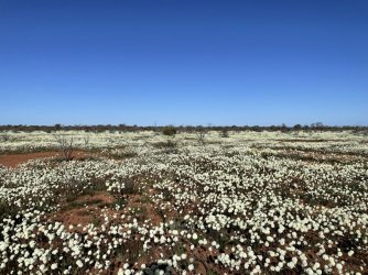 70A0006F-094E-4C9F-B042-58B4BFBB91FD.jpeg 70A0006F-094E-4C9F-B042-58B4BFBB91FD.jpeg