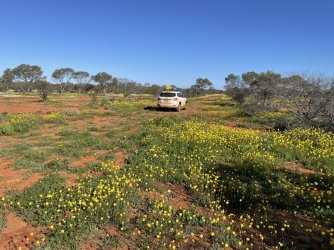 BB322E57-5ED5-4D22-B214-B30D82D4F4A6.jpeg BB322E57-5ED5-4D22-B214-B30D82D4F4A6.jpeg