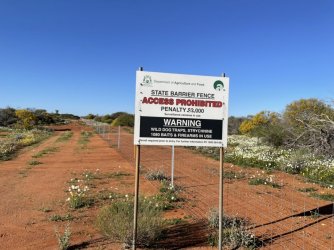 CAB3BA52-ACB6-48FF-BBEC-AA2538D0DEDF.jpeg CAB3BA52-ACB6-48FF-BBEC-AA2538D0DEDF.jpeg