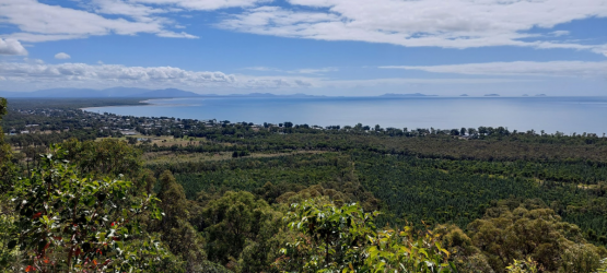 1627961147843.png 1627961147843.png