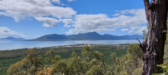 1627961235633.png 1627961235633.png