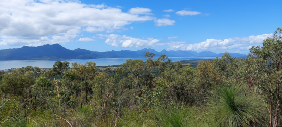 1627961298330.png 1627961298330.png