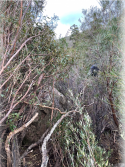 1628384689785.png 1628384689785.png