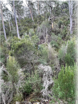 1628384763334.png 1628384763334.png