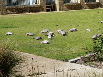 Kennedy.jpg Kennedy.jpg