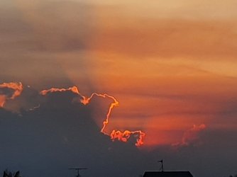 20210808_170802.jpg 20210808_170802.jpg