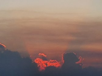 20210808_171350.jpg 20210808_171350.jpg