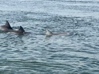 76273647-1DA3-4F4A-9CD4-BB9AE5F775D6.jpeg 76273647-1DA3-4F4A-9CD4-BB9AE5F775D6.jpeg