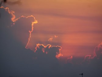 DSC06342.JPG DSC06342.JPG