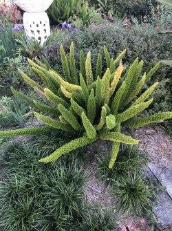 EB9F2CD8-9F78-4D7C-ADE4-A6F081E4DF8F.jpeg EB9F2CD8-9F78-4D7C-ADE4-A6F081E4DF8F.jpeg