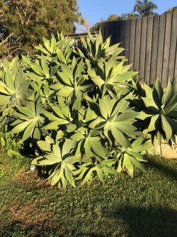 9664D7E7-F9CF-474B-A922-0A17538F3842.jpeg 9664D7E7-F9CF-474B-A922-0A17538F3842.jpeg