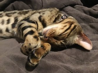 D1CEEB41-2ADF-424A-BB2E-7F809FBD0771.jpeg D1CEEB41-2ADF-424A-BB2E-7F809FBD0771.jpeg