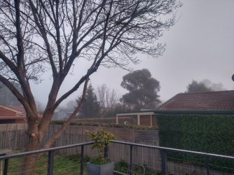 IMG_20210813_070752628_HDR.jpg IMG_20210813_070752628_HDR.jpg