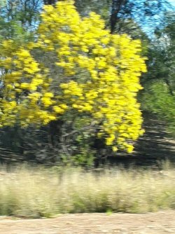 20210813_145034.jpg 20210813_145034.jpg