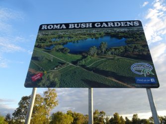 DSC06388.JPG DSC06388.JPG