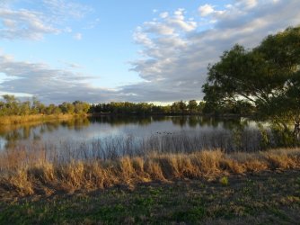 DSC06389.JPG DSC06389.JPG