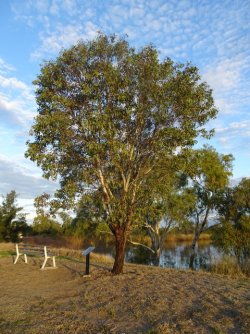 DSC06391.JPG DSC06391.JPG