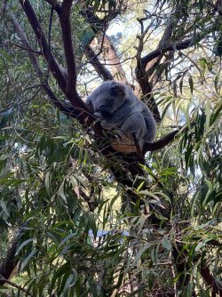 27349703-3D5C-4BAB-BA98-A7F7C9895861.jpeg 27349703-3D5C-4BAB-BA98-A7F7C9895861.jpeg