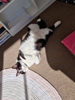 20210816_092506.jpg 20210816_092506.jpg