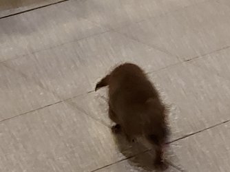 20210818_193517.jpg 20210818_193517.jpg