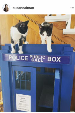 IMG_0526.PNG IMG_0526.PNG