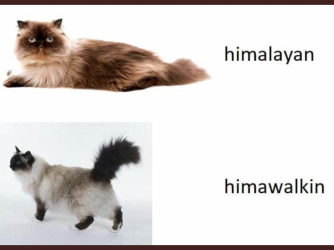 IMG_2039.PNG IMG_2039.PNG