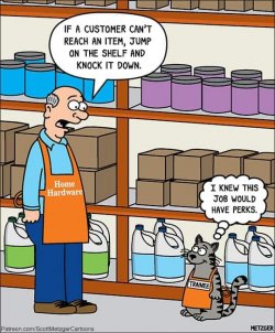 7FCCD50E-5961-49FD-9916-3B1A388549A0.jpeg 7FCCD50E-5961-49FD-9916-3B1A388549A0.jpeg