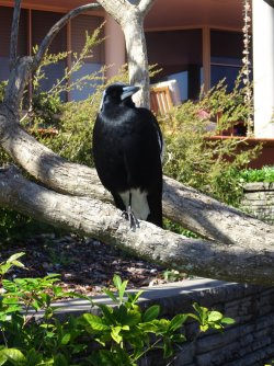 DSC06321.JPG DSC06321.JPG