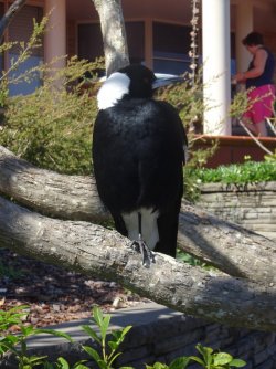 DSC06322.JPG DSC06322.JPG