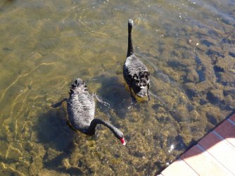 DSC06324.JPG DSC06324.JPG