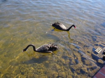 DSC06325.JPG DSC06325.JPG