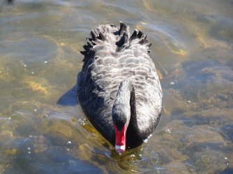 DSC06326.JPG DSC06326.JPG