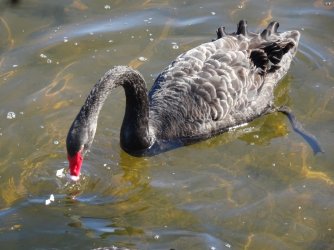 DSC06327.JPG DSC06327.JPG