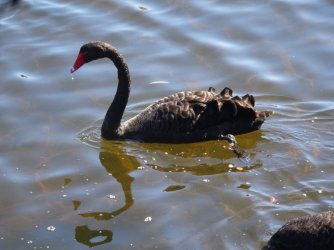 DSC06328.JPG DSC06328.JPG