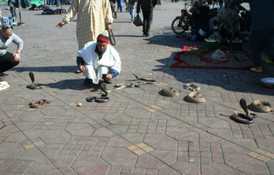 1630490846560.png 1630490846560.png