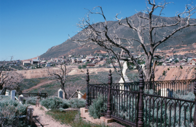 1630491205381.png 1630491205381.png