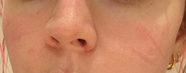 1630537112603.png 1630537112603.png