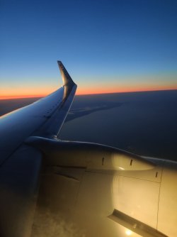 2021-09-10 20.42.11.jpg 2021-09-10 20.42.11.jpg