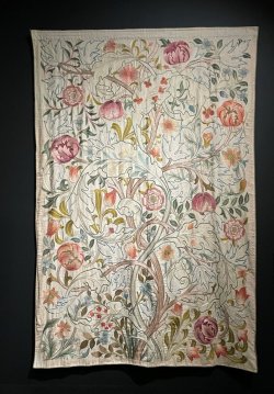 IMG_1374.jpg IMG_1374.jpg