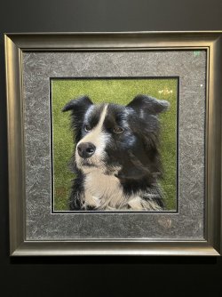 IMG_1382.jpg IMG_1382.jpg