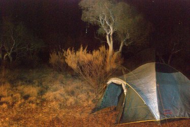 DSC_0173.jpg DSC_0173.jpg