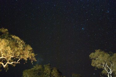 DSC_0176.jpg DSC_0176.jpg