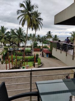 IMG_20210919_161226.jpg IMG_20210919_161226.jpg