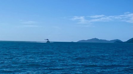 E6D70E19-84EE-486D-B8DF-0B7CFDC356F2.jpeg E6D70E19-84EE-486D-B8DF-0B7CFDC356F2.jpeg