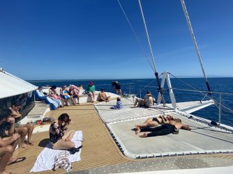 94BC8843-565F-41F4-87A4-02E41E55003F.jpeg 94BC8843-565F-41F4-87A4-02E41E55003F.jpeg