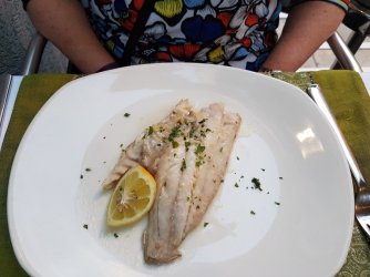 06-57sea-bream.jpg 06-57sea-bream.jpg